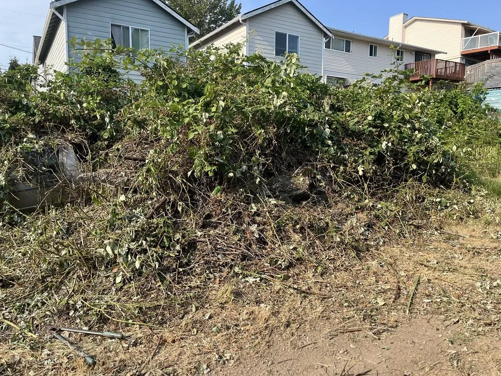 Expert outdoor landscaping for homes in Seattle, WA by Ace 1 Construction & Landscaping