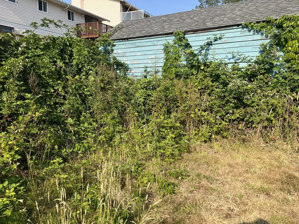 Top-rated lawn care service for outdoor upgrades in Seattle, WA by Ace 1 Construction & Landscaping