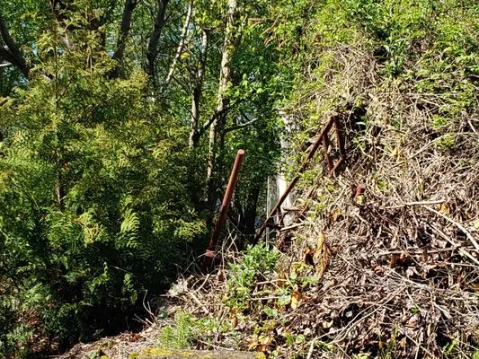 Ace 1 Construction & Landscaping Logo