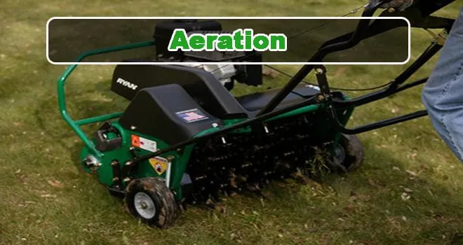Expert yard maintenance experts serving Portland, OR - Ace Aeration