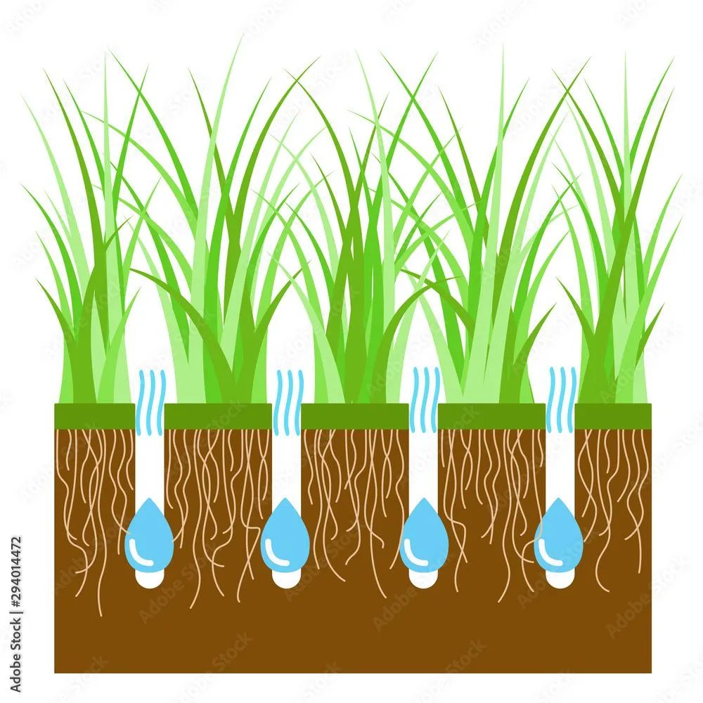 Trusted outdoor landscaping experts serving Portland, OR - Ace Aeration