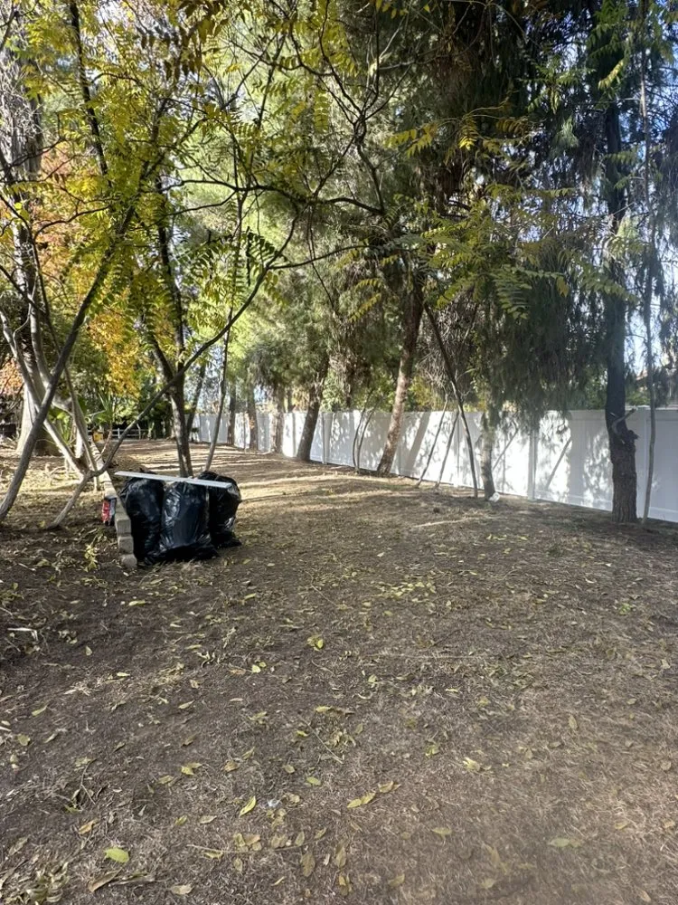 Expert landscaping services experts serving Menifee, CA - Ace Construction & Landscape