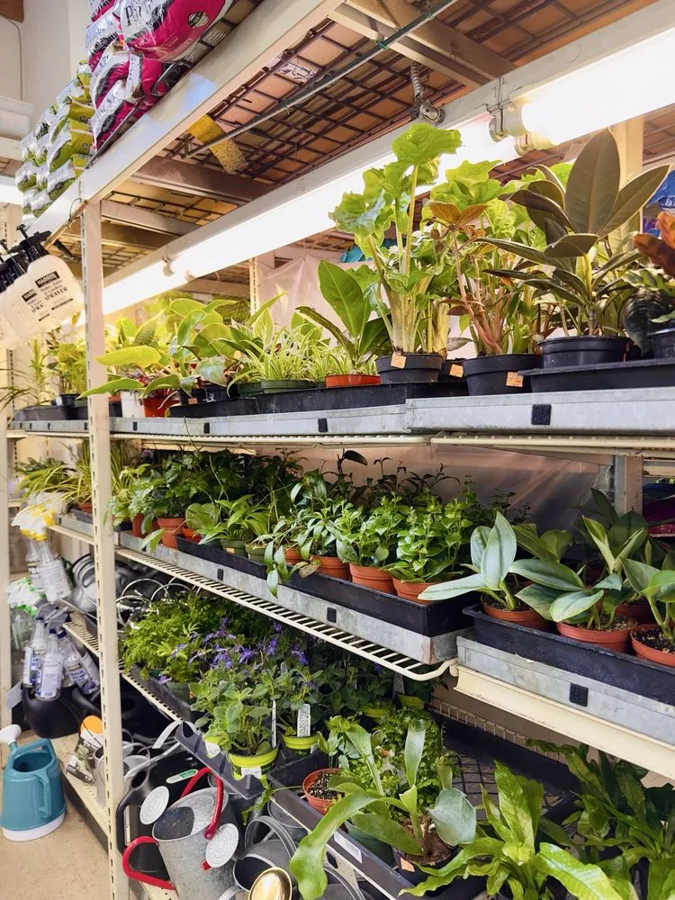 Local garden landscaping near you in Oakland, CA by Ace Garden Center