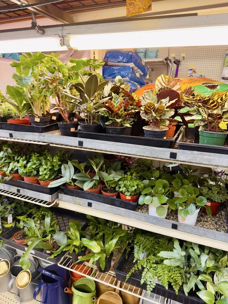 Top-rated residential landscaping in Oakland, CA - Ace Garden Center