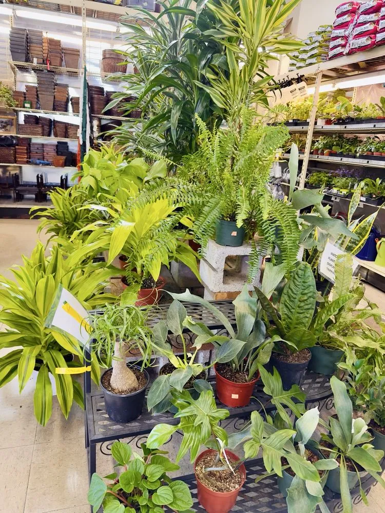 Custom lawn mowing service for homes across Oakland, CA - Ace Garden Center