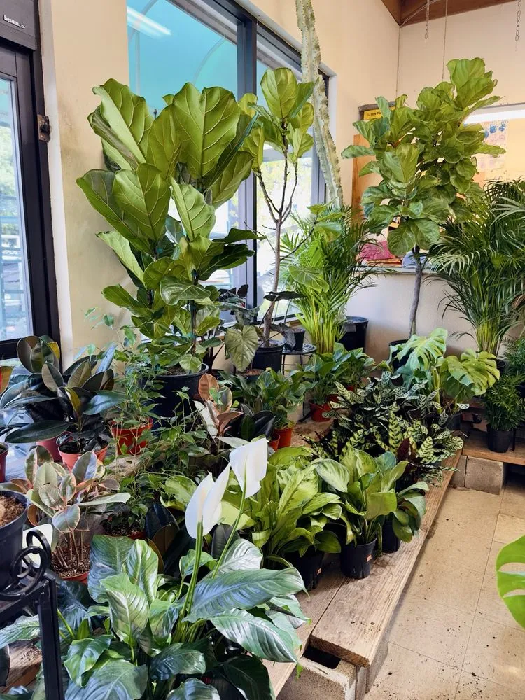 Affordable landscape installation in Oakland, CA by Ace Garden Center