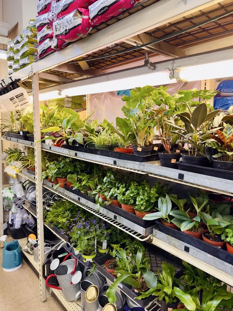 Affordable yard maintenance with custom design across Oakland, CA - Ace Garden Center