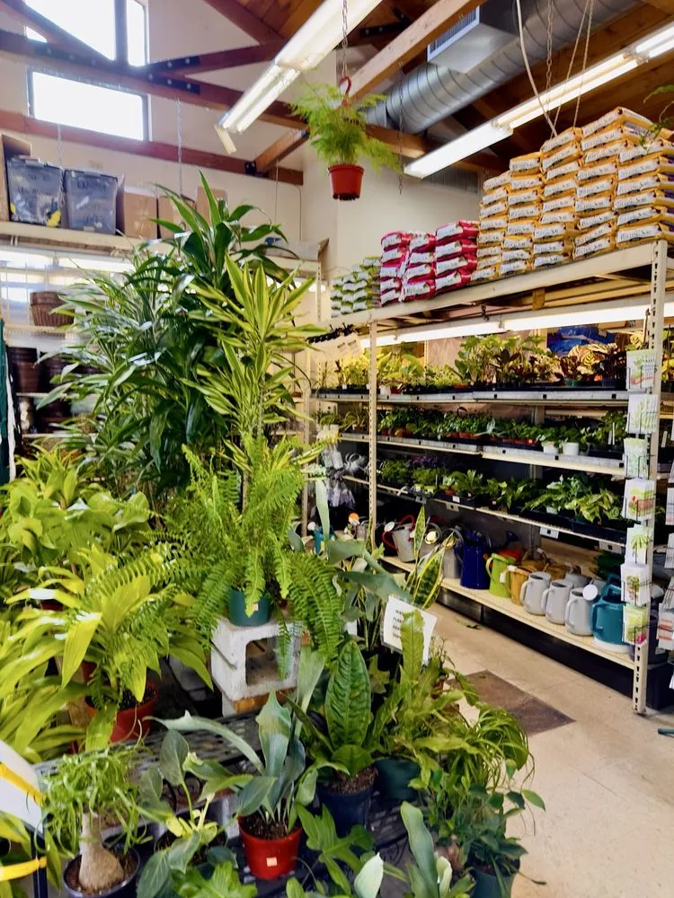 Reliable lawn mowing service for beautiful yards in Oakland, CA by Ace Garden Center