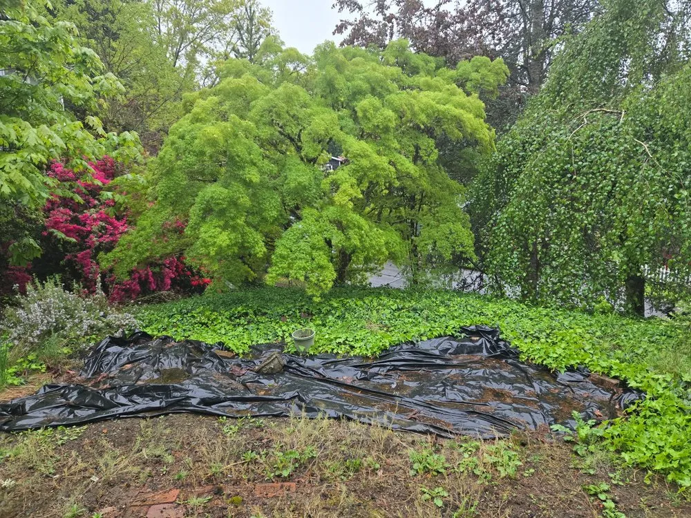 Top-rated garden landscaping in Portland, OR by Ace Green Garden & Home