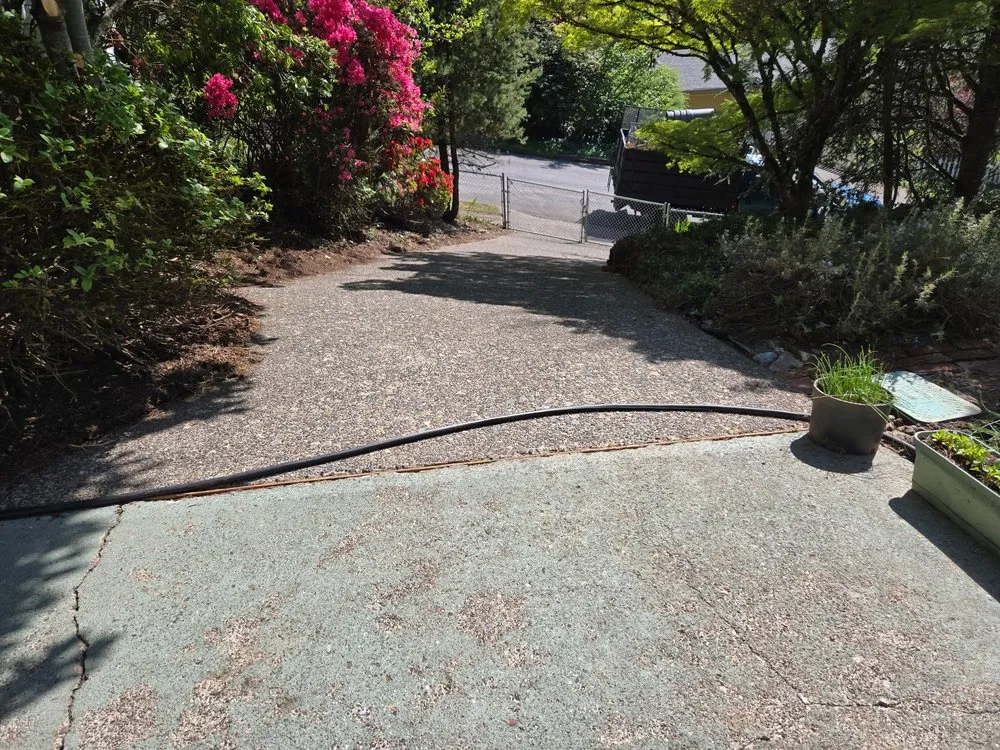 Affordable outdoor landscaping experts serving Portland, OR - Ace Green Garden & Home