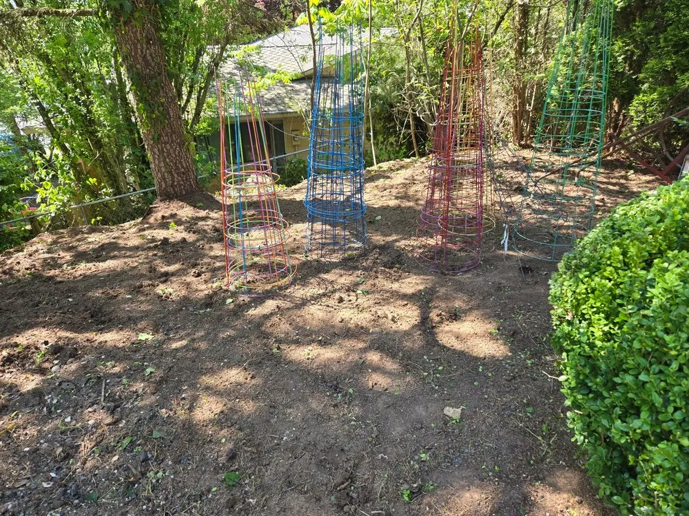 Reliable outdoor landscaping in Portland, OR by Ace Green Garden & Home