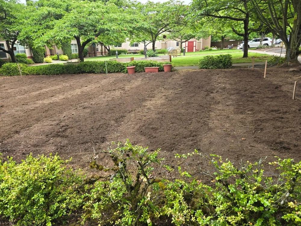 Reliable residential landscaping in Portland, OR by Ace Green Garden & Home