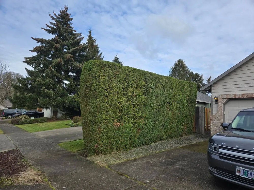 Trusted landscaping services for beautiful yards in Portland, OR by Ace Green Garden & Home