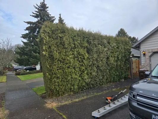 Ace Green Garden & Home Logo