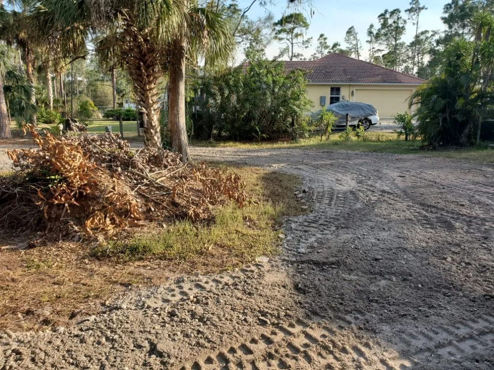 Professional yard maintenance with custom design across Naples, FL - Ace Green Recycling