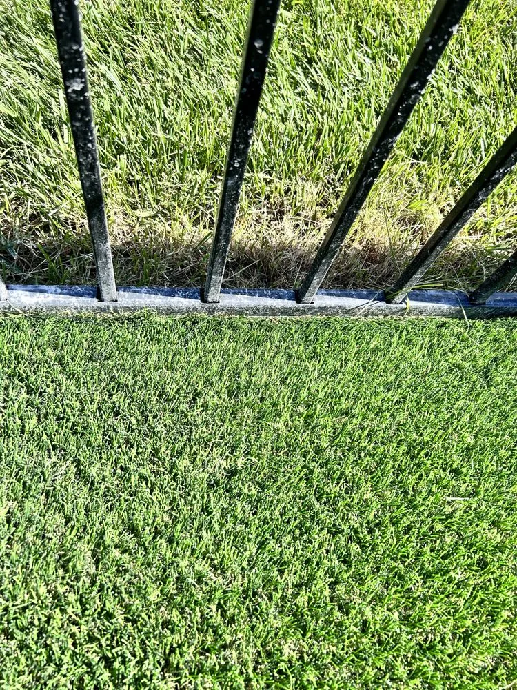 Reliable residential landscaping for beautiful yards across Imperial, MO - Ace Home & Business Solutions