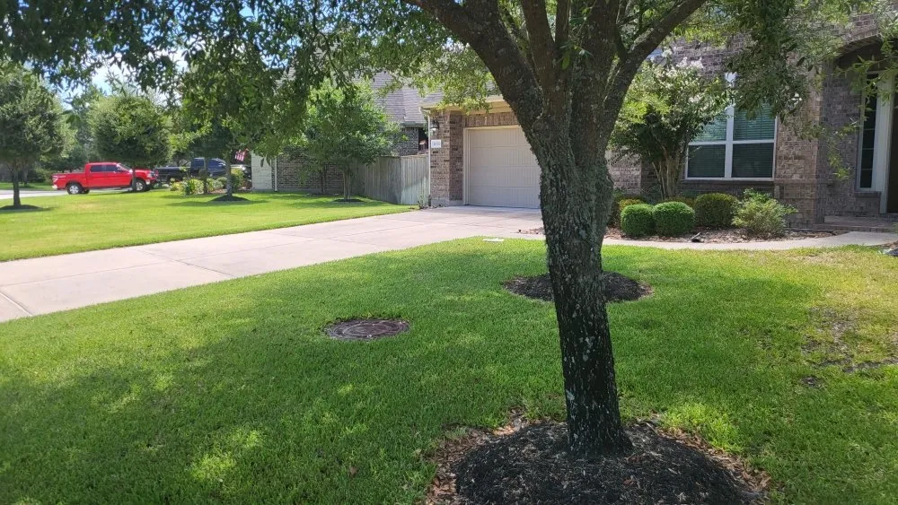 Expert yard maintenance in Porter, TX by Ace Ingenuity