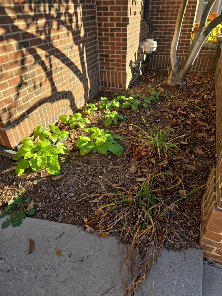 Local landscape design for beautiful yards across Center Line, MI - Ace Jonson Landscaping