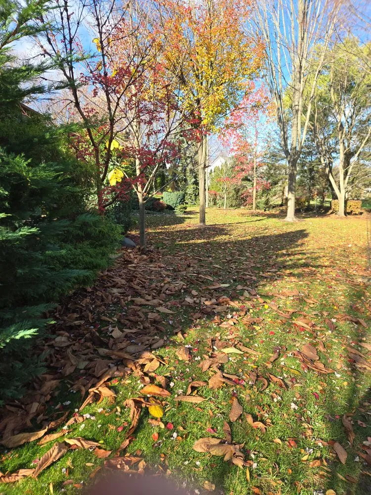 Reliable residential landscaping in Center Line, MI by Ace Jonson Landscaping