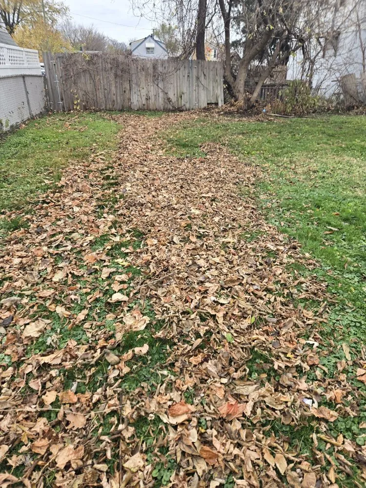 Affordable lawn care service in Center Line, MI by Ace Jonson Landscaping