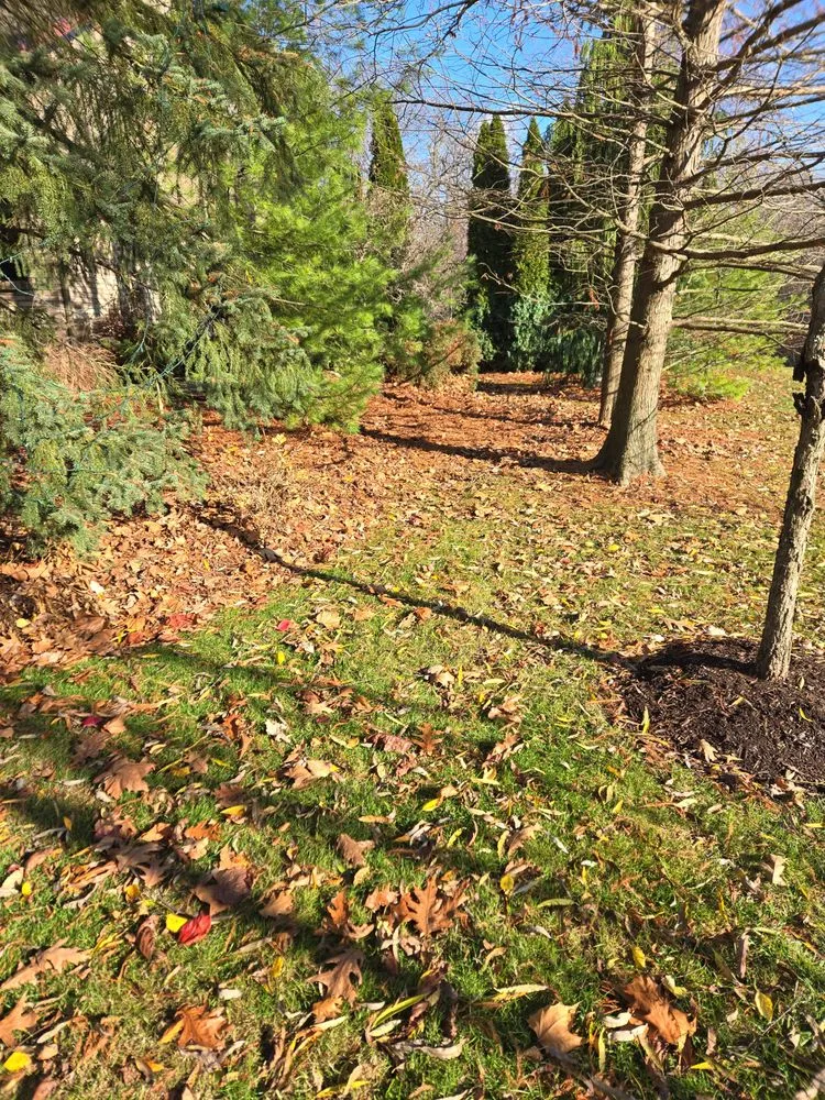 Custom yard cleanup service near you in Center Line, MI by Ace Jonson Landscaping