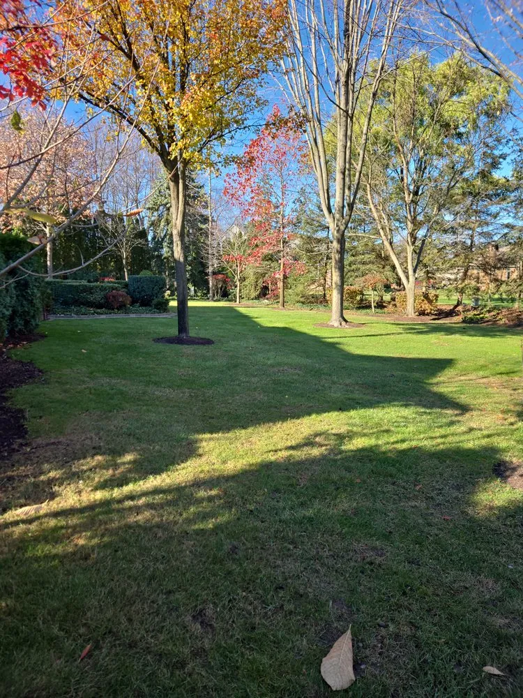 Reliable outdoor landscaping in Center Line, MI by Ace Jonson Landscaping