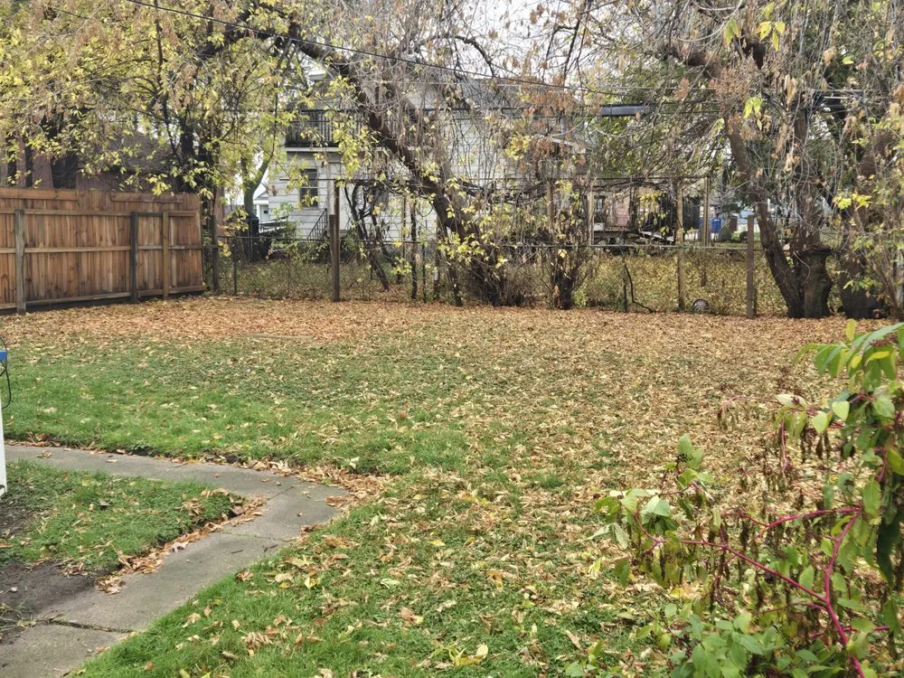 Local landscaping services in Center Line, MI - Ace Jonson Landscaping