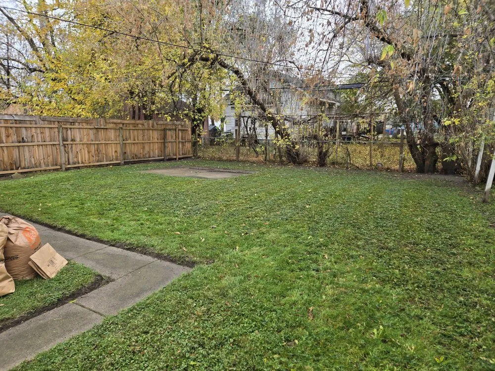 Custom landscaping services for year-round maintenance in Center Line, MI by Ace Jonson Landscaping