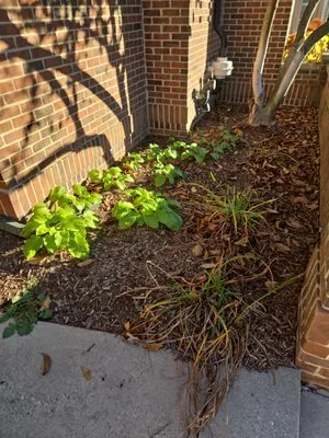 Ace Jonson Landscaping