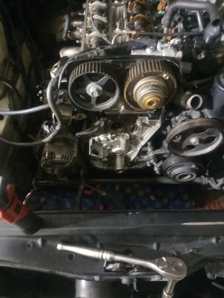 Local residential landscaping in Forest Park, GA - Ace Kings