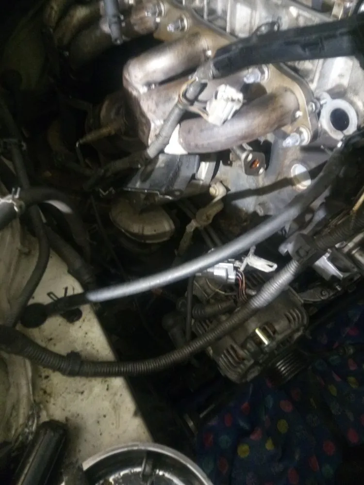 Professional lawn care service for beautiful yards in Forest Park, GA by Ace Kings