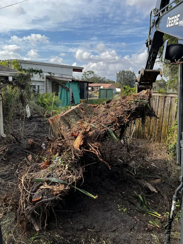 Professional lawn mowing service in Lake Mary, FL by Ace Land Development
