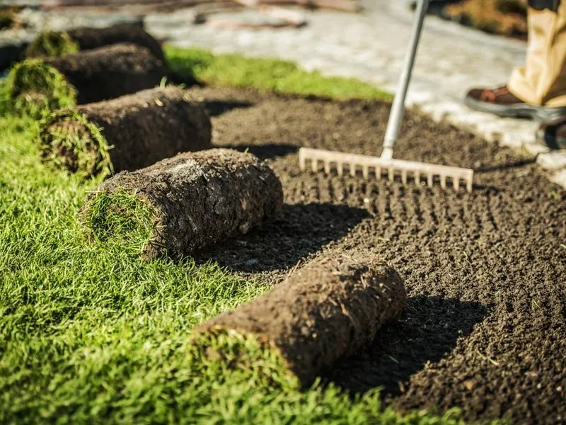 Top-rated landscape design in Memphis, TN - Ace Landscape & Junk removal