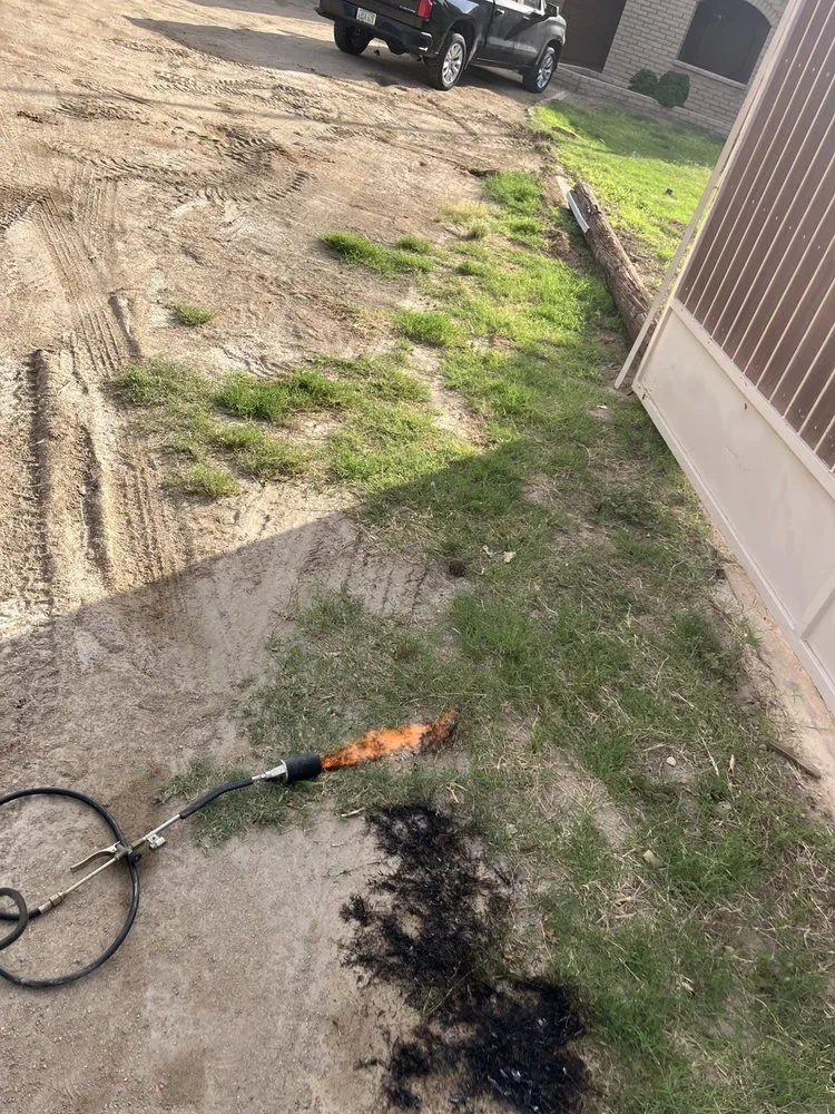 Affordable landscaping services for homes in Avondale, AZ by Ace Landscape