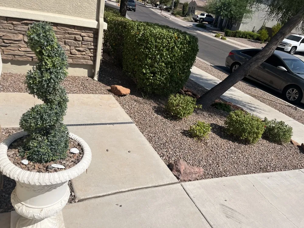 Affordable landscaping services in Avondale, AZ - Ace Landscape