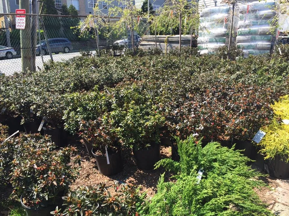 Professional garden landscaping for homes in Yonkers, NY by Ace Landscape Contractors