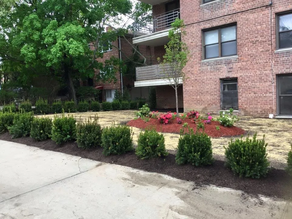 Custom yard cleanup service experts serving Yonkers, NY - Ace Landscape Contractors