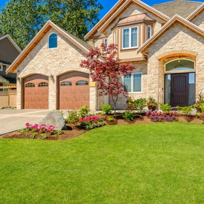 Professional yard cleanup service with custom design in San Marcos, CA by Ace Landscape