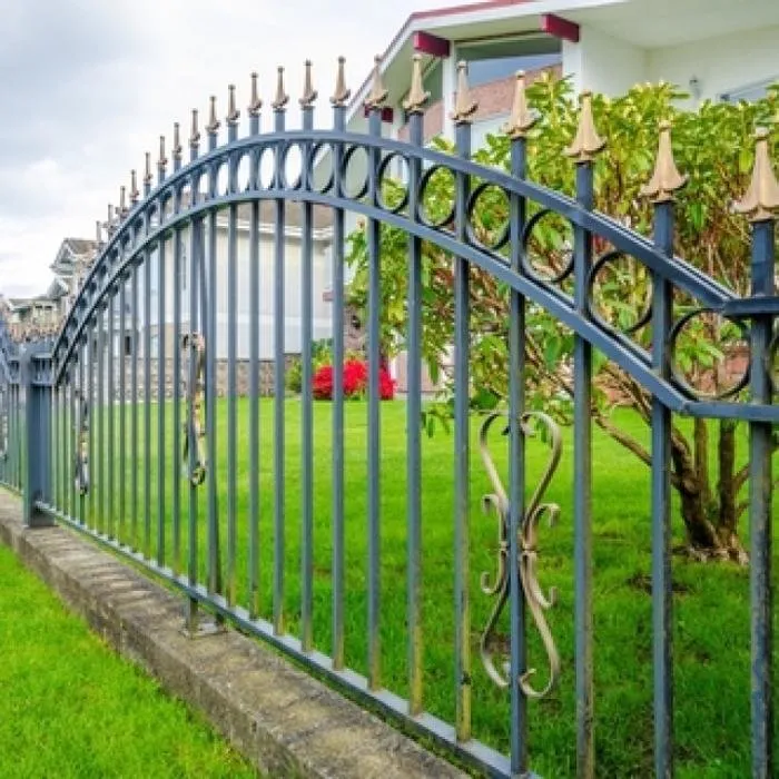 Expert outdoor landscaping for year-round maintenance across San Marcos, CA - Ace Landscape