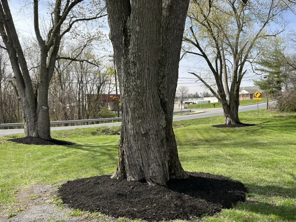 Reliable landscape installation for residential properties across Knoxville, MD - Ace Landscaping & Lawn Care