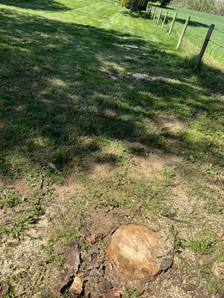 Expert lawn mowing service in Knoxville, MD by Ace Landscaping & Lawn Care