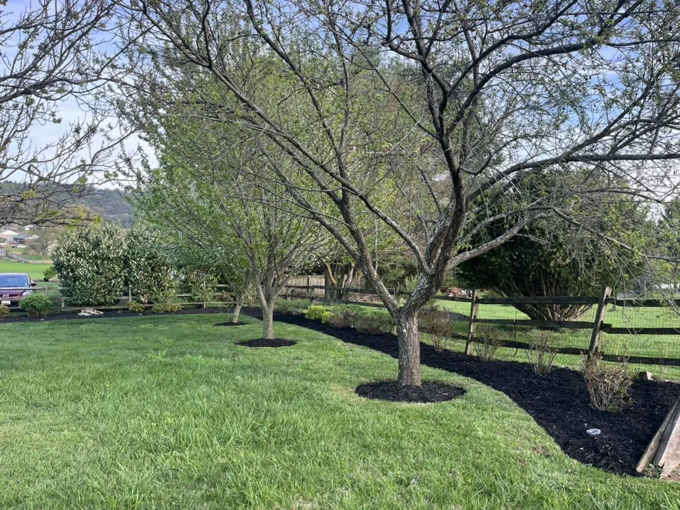 Custom yard maintenance in Knoxville, MD by Ace Landscaping & Lawn Care