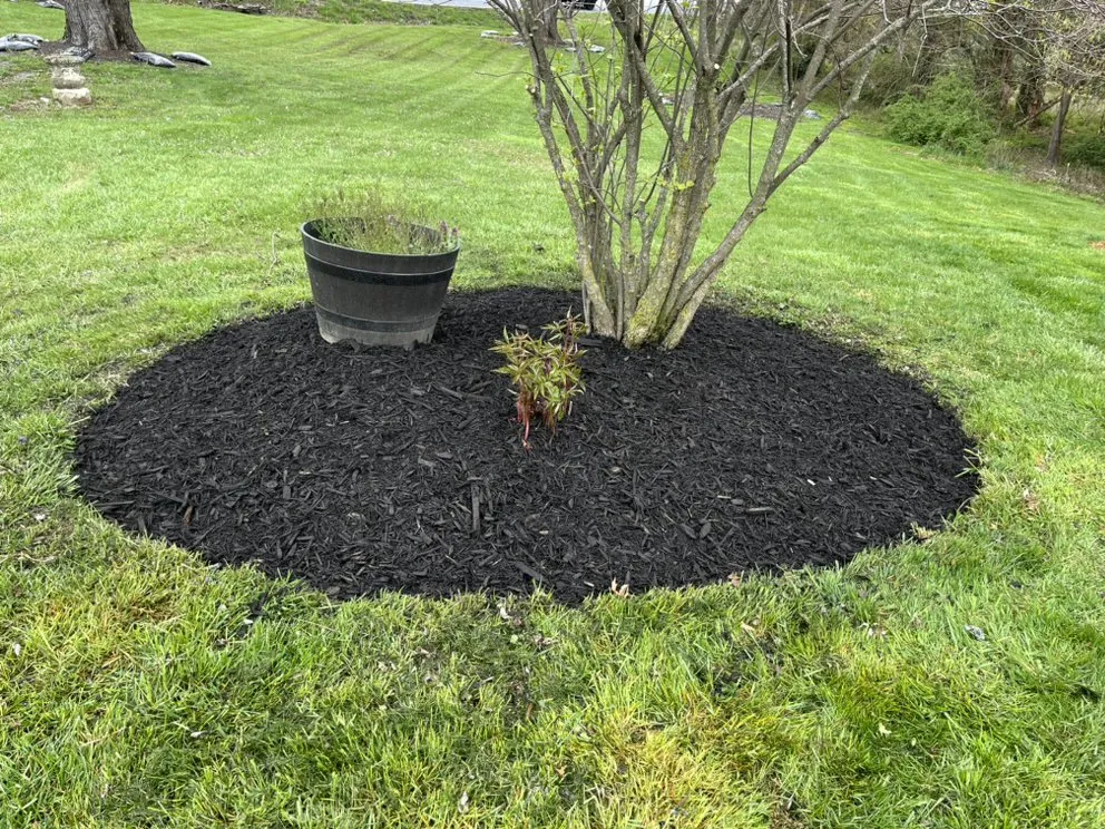 Affordable landscape installation in Knoxville, MD by Ace Landscaping & Lawn Care