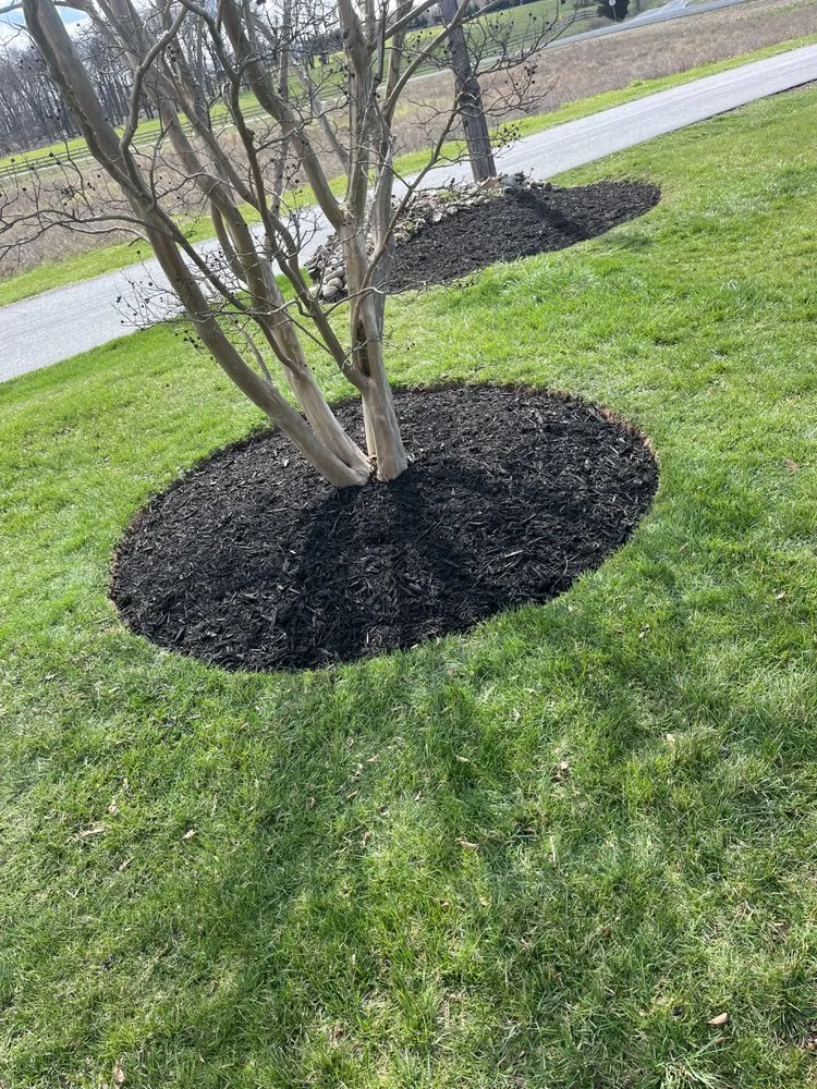 Expert yard maintenance experts serving Knoxville, MD - Ace Landscaping & Lawn Care