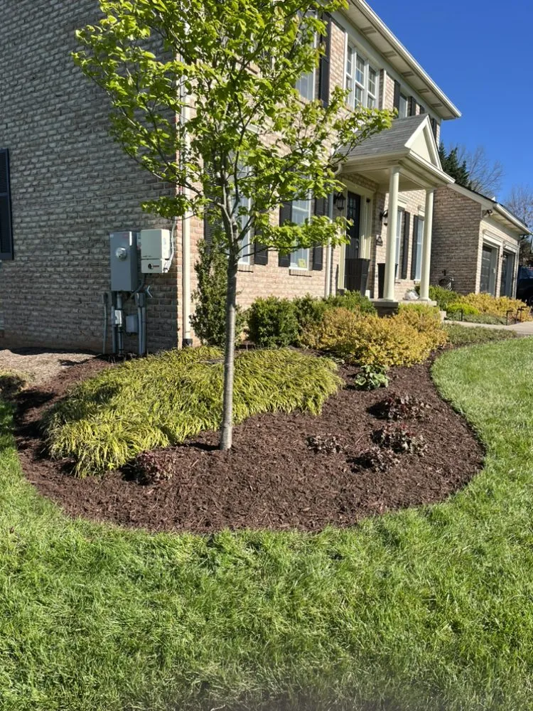 Affordable yard cleanup service in Knoxville, MD by Ace Landscaping & Lawn Care