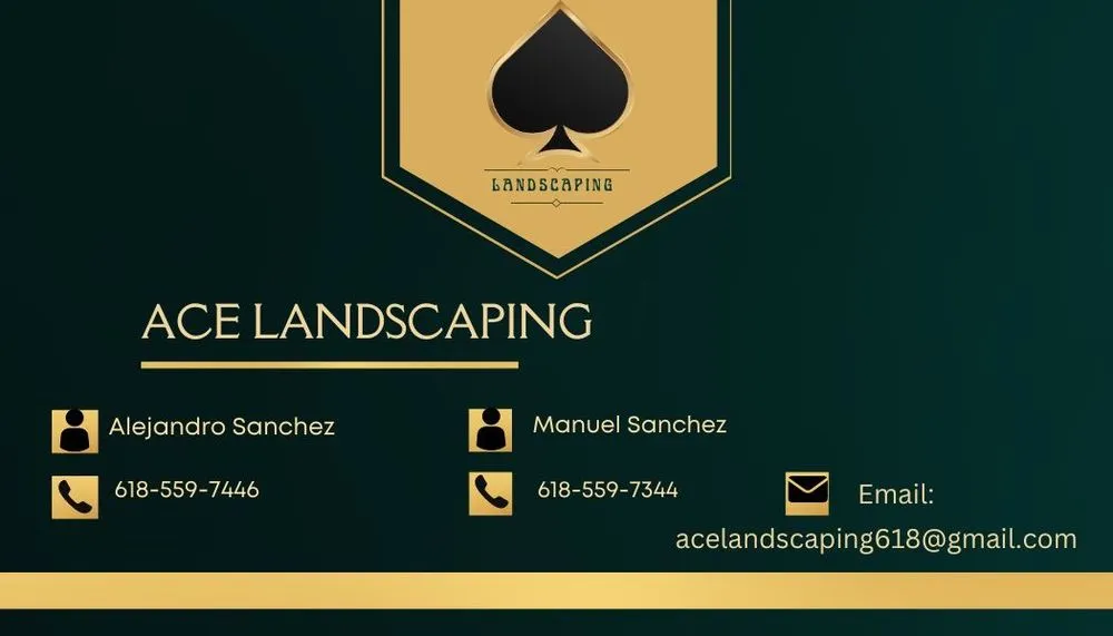 Trusted yard cleanup service in Carbondale, IL by Ace Landscaping