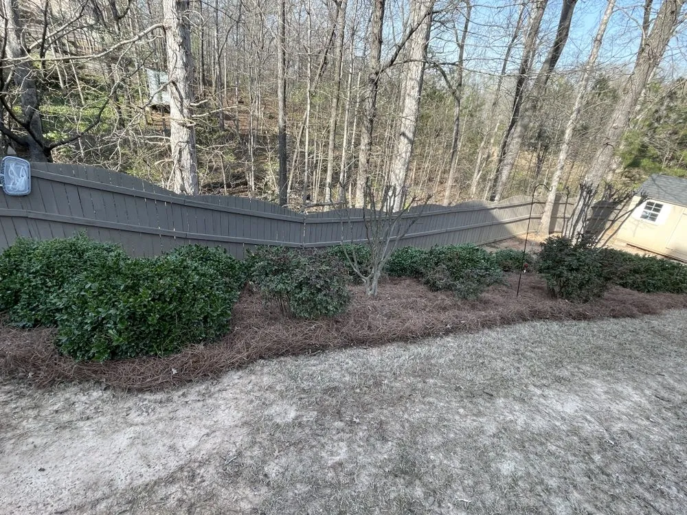 Local lawn mowing service for year-round maintenance in Commerce, GA by Ace Landscaping