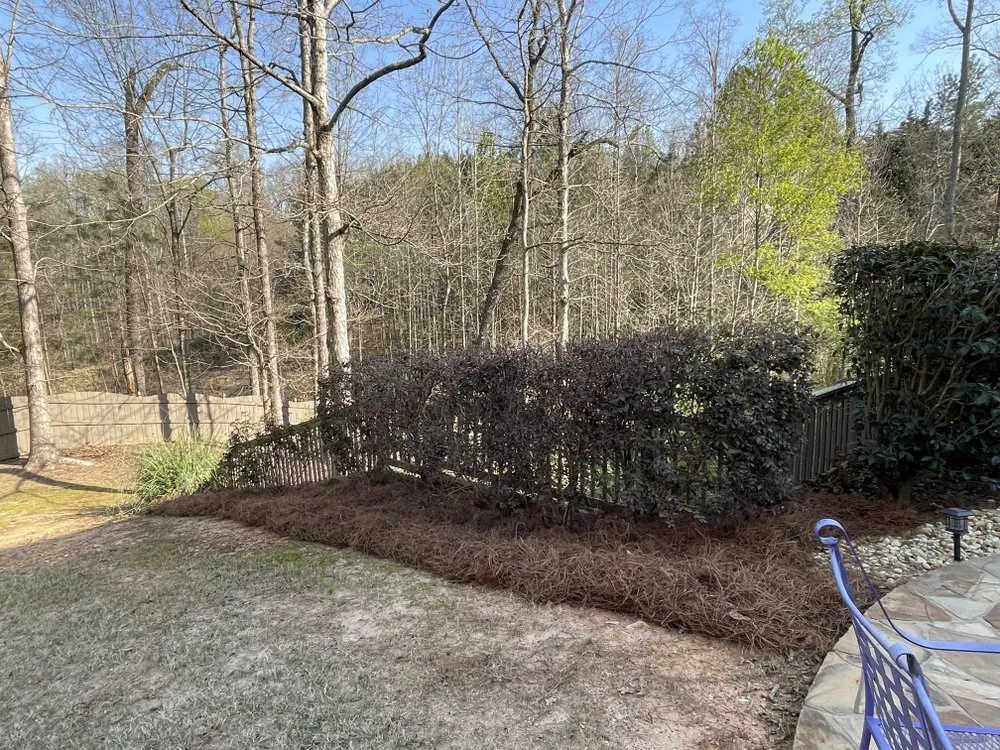 Trusted residential landscaping in Commerce, GA by Ace Landscaping