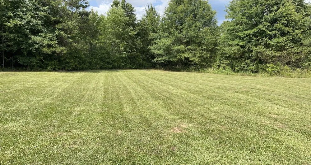 Expert yard cleanup service for year-round maintenance in Commerce, GA by Ace Landscaping