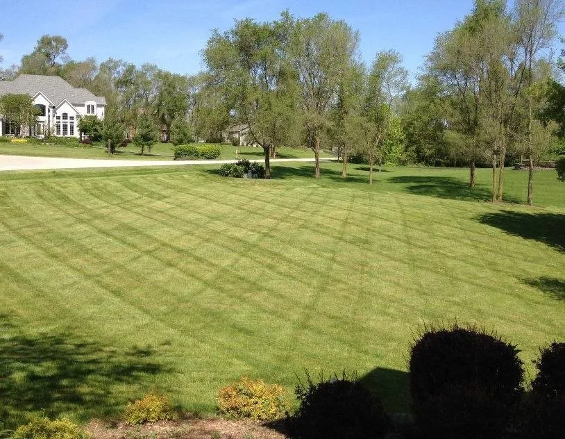 Reliable yard maintenance for outdoor upgrades across Crystal Lake, IL - Ace Landscaping